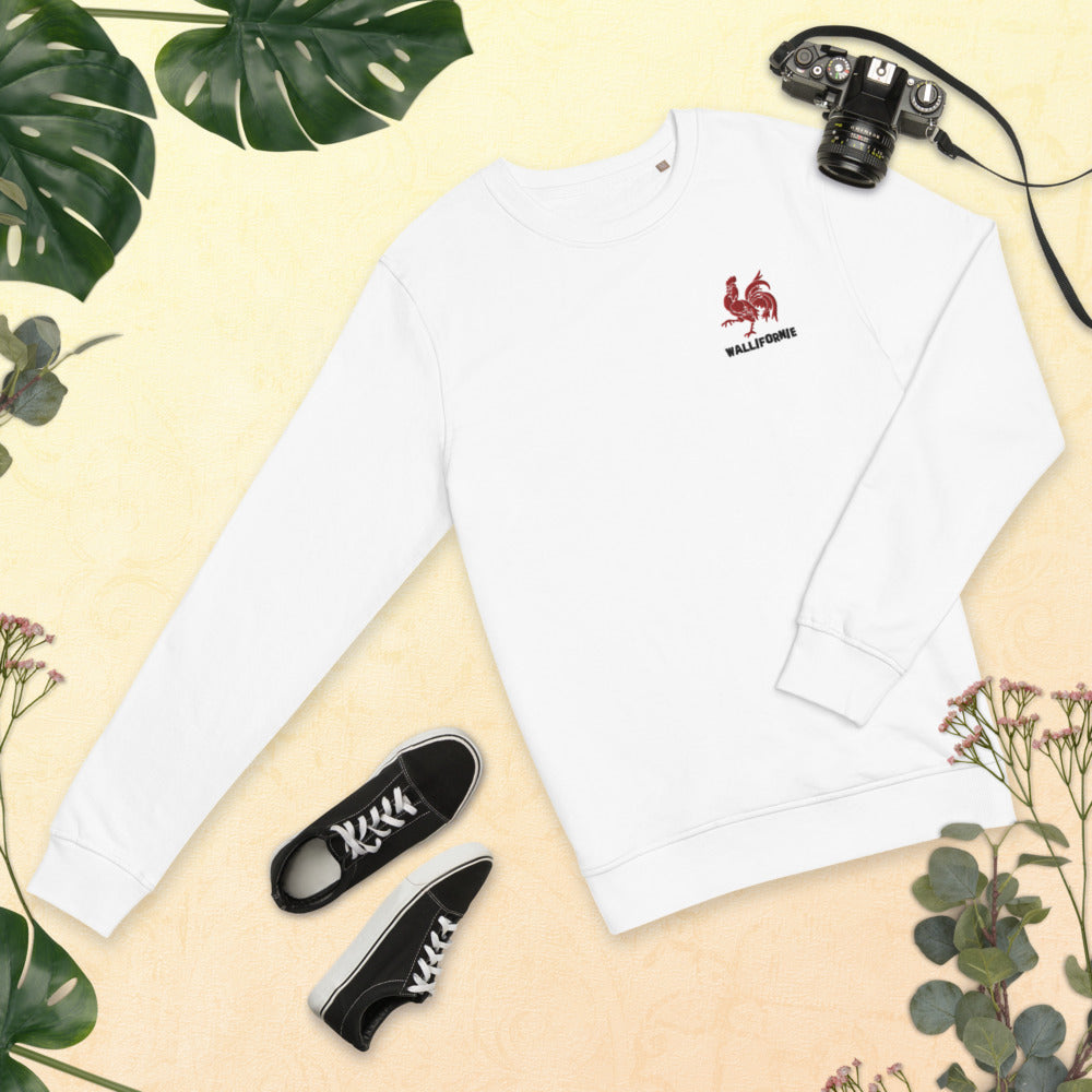 pull marrant belge