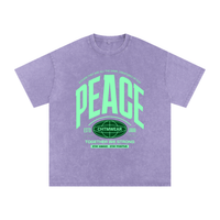 T-shirt oversized PEACE en violet clair délavé - typographie varsity verte et petit globe