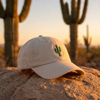 Casquette baseball oyster brodée d'un cactus vert posée sur un rocher de sable du désert devant des cactus saguaros flous au coucher du soleil - CHT'M Boutique