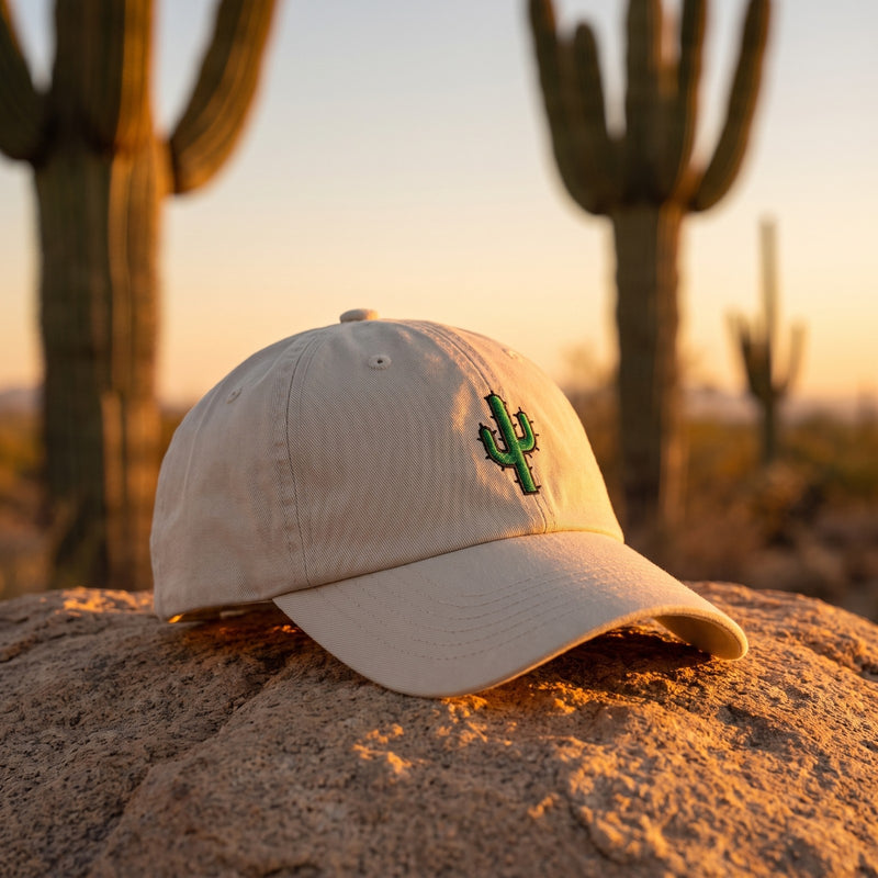 Casquette baseball oyster brodée d'un cactus vert posée sur un rocher de sable du désert devant des cactus saguaros flous au coucher du soleil - CHT'M Boutique