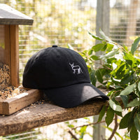 Casquette baseball noire brodée d'un cerf blanc au trait avec un petit texte blanc sur le côté posée sur un perchoir dans une volière lumineuse à côté d'une mangeoire et de feuilles vertes, lumière douce du jour - CHT'M Boutique