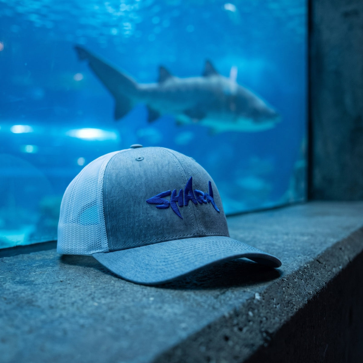 Casquette trucker gris chiné brodée Shark posée devant la vitre d'un aquarium géant avec des silhouettes de requins - CHT'M Boutique