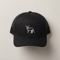 Casquette trucker noire brodée Coucou Petite Perruche à plat, panneau avant et broderie visibles