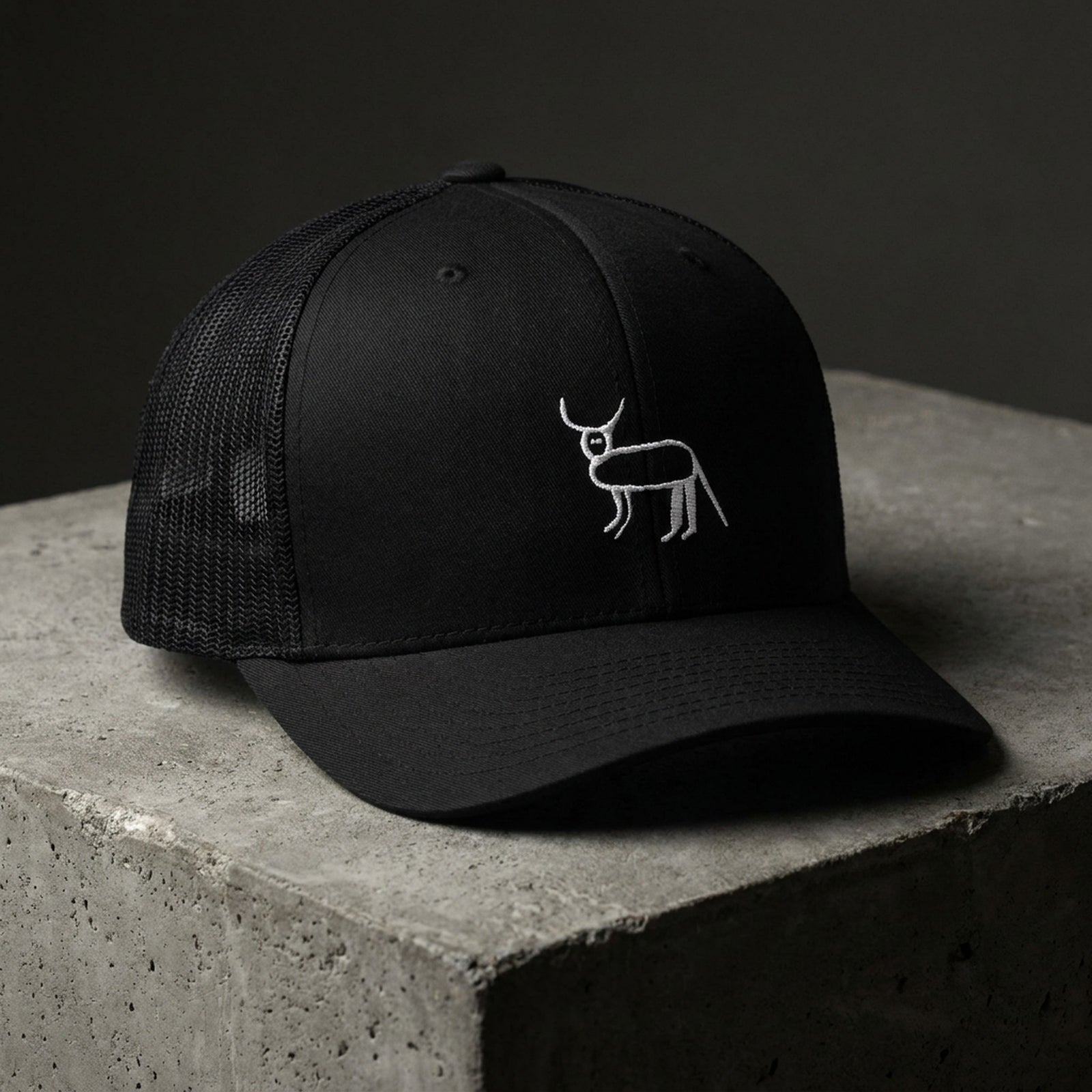 Casquette trucker noire brodée Coucou Petite Perruche vue de trois quarts sur béton