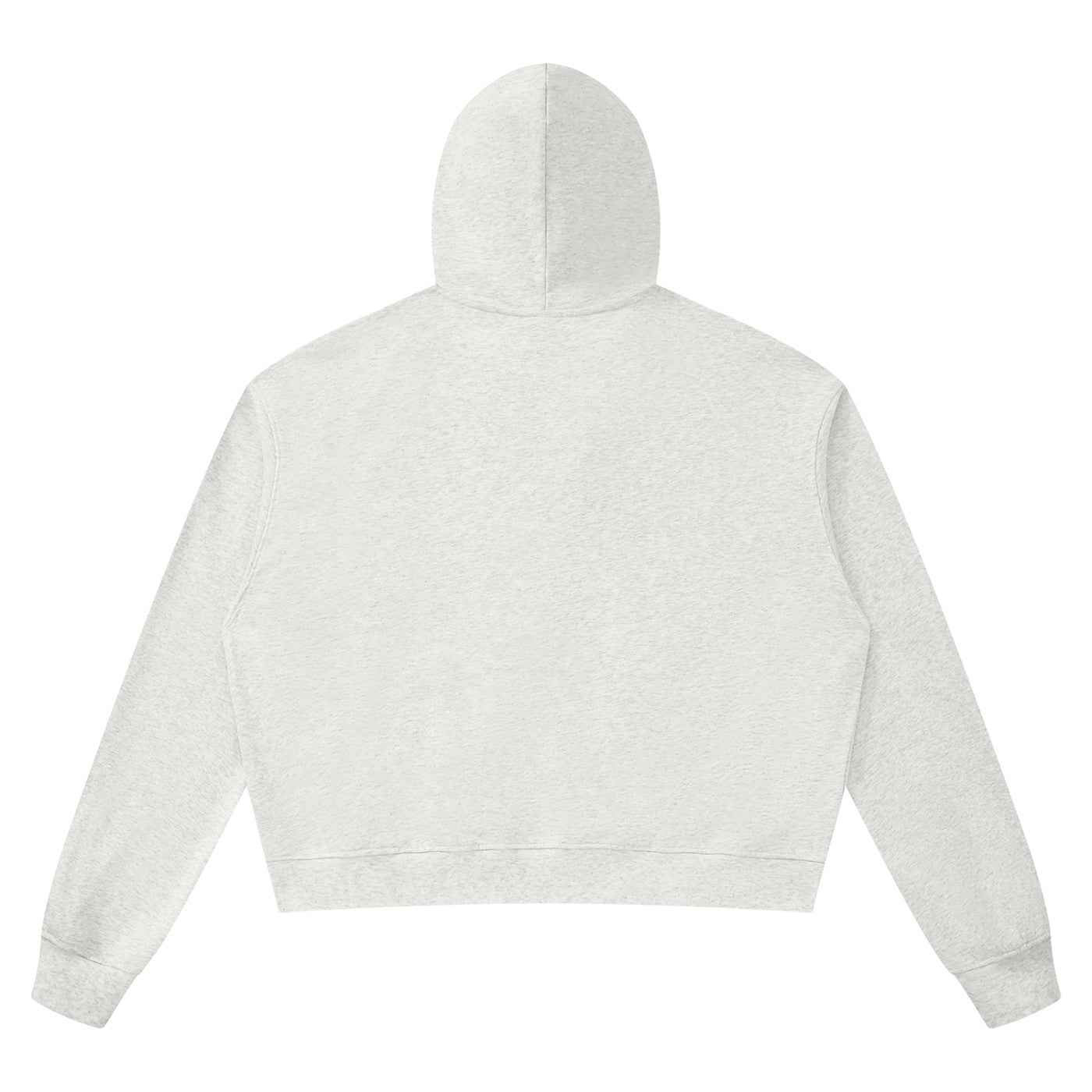 Hoodie boxy bord brut unisexe gris avoine chiné vu de dos