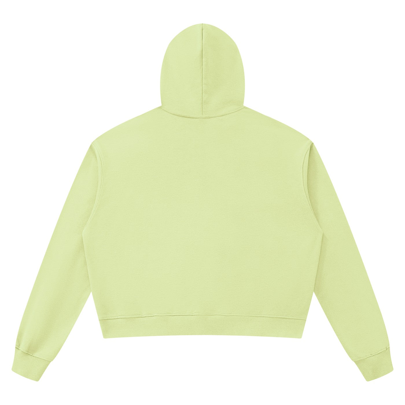 Hoodie boxy bord brut unisexe vert clair vu de dos