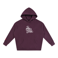 Hoodie belge original Le Pays de la Frite prune, sweat a capuche oversize CHT M Boutique