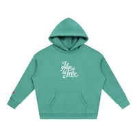 Hoodie belge original Le Pays de la Frite vert celadon, sweat a capuche oversize CHT M Boutique