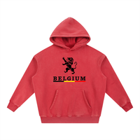 hoodie belgium,hoodie belgium 2026,sweat belgique,sweat diables rouges,coupe du monde 2026 belgique,pull belgique supporter,lion héraldique belge,streetwear belgique,sweat rouge belgique,hoodie vintage washed