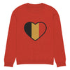 pull belge tendance