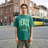 T-shirt oversized vert delave au lettrage varsity PEACE et globe, porte au coin d'une rue pavee de Bruxelles