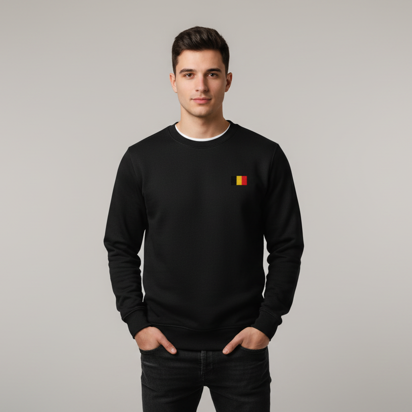 Pull Belge brodé