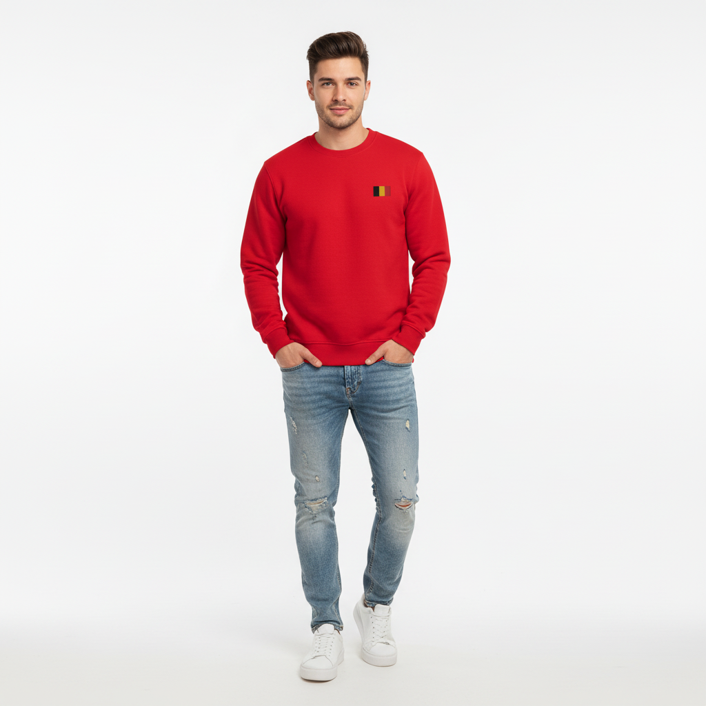 Pull Belge brodé