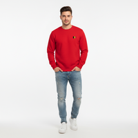 Pull Belge brodé
