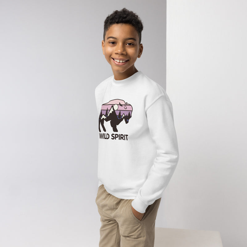 pull ados blanc aventure noth face