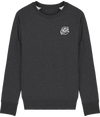 Pull bio en molleton brossé CHT'M - AVNIR