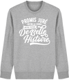 Pull col rond - PROMIS JURÉ