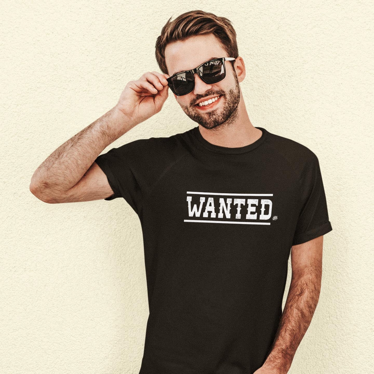 teeshirt wanted