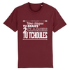 t shirt tournai