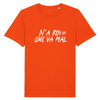T-shirt - N'A RIN QUI VA MAL