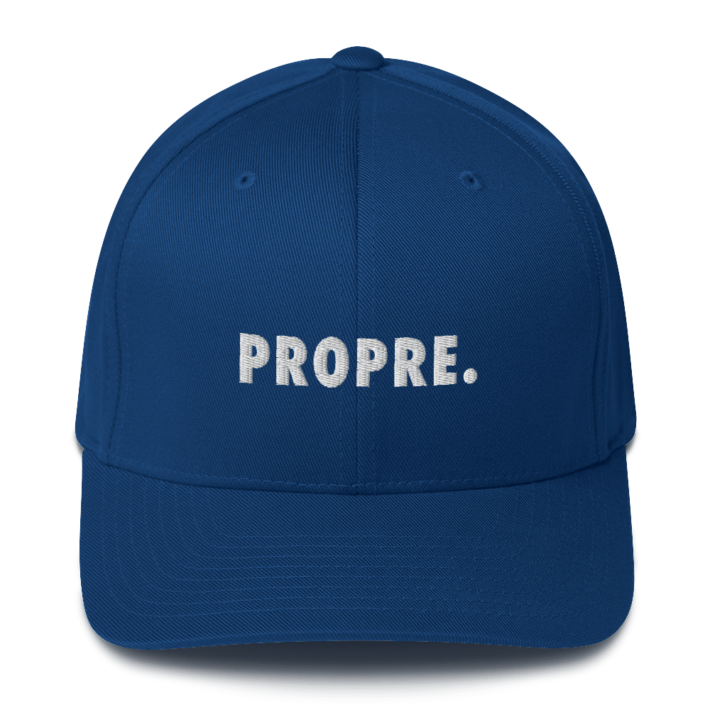 Casquette Flexfit brodée - "PROPRE."