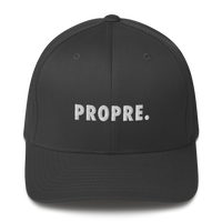 Casquette Flexfit brodée - "PROPRE."