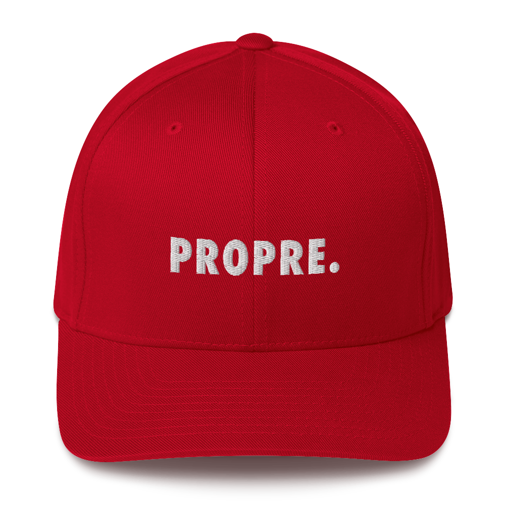 Casquette Flexfit brodée - "PROPRE."