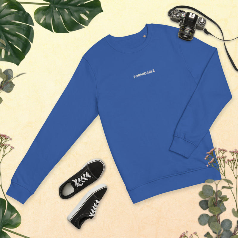 pull belge Stromae formidable