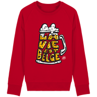 pull bio biere belge la vie est belge