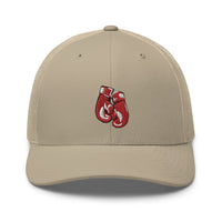 Casquette Trucker - Gands de boxe