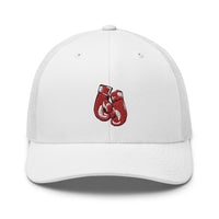 Casquette Trucker - Gands de boxe