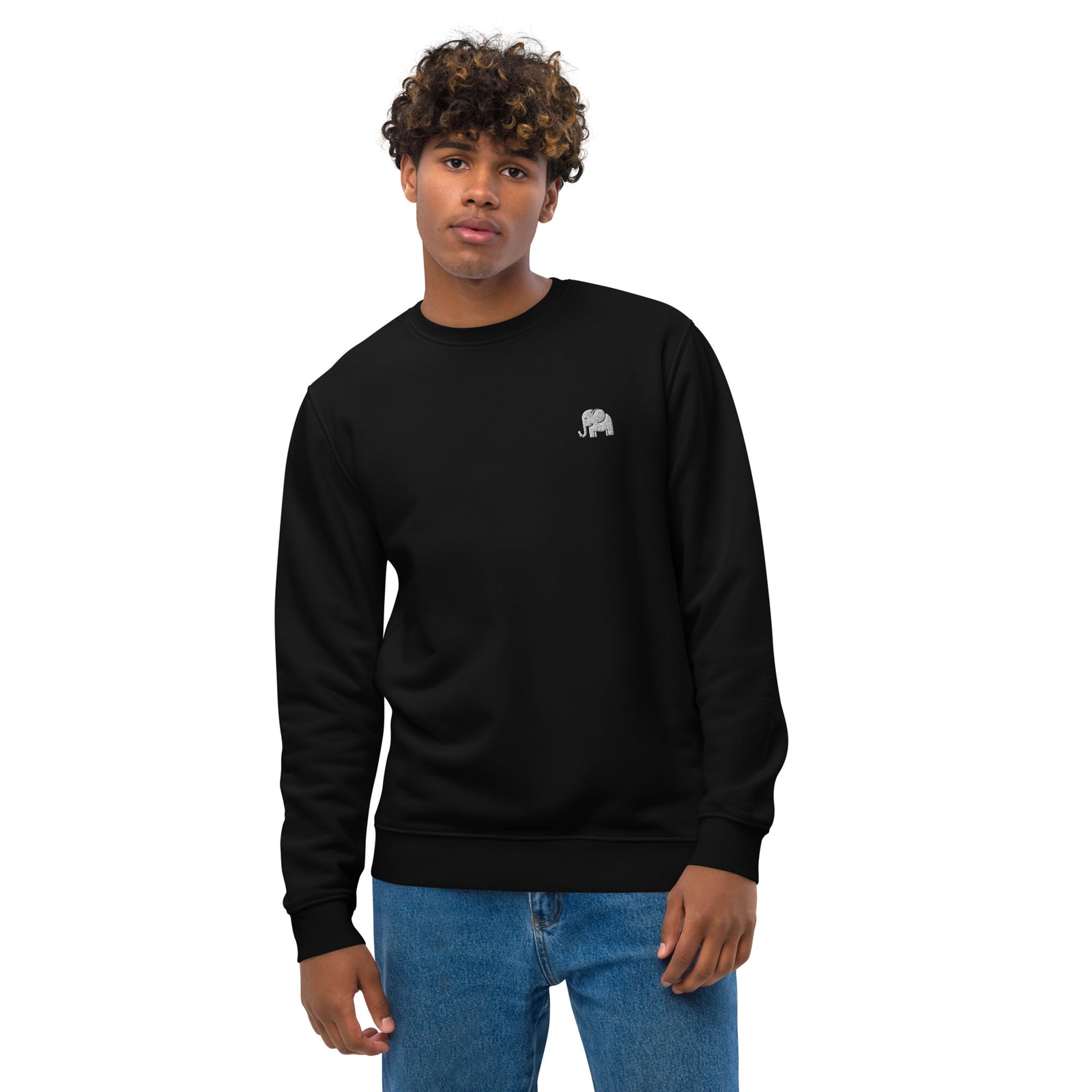 Pull homme brodé - "L'éléphant blanc"