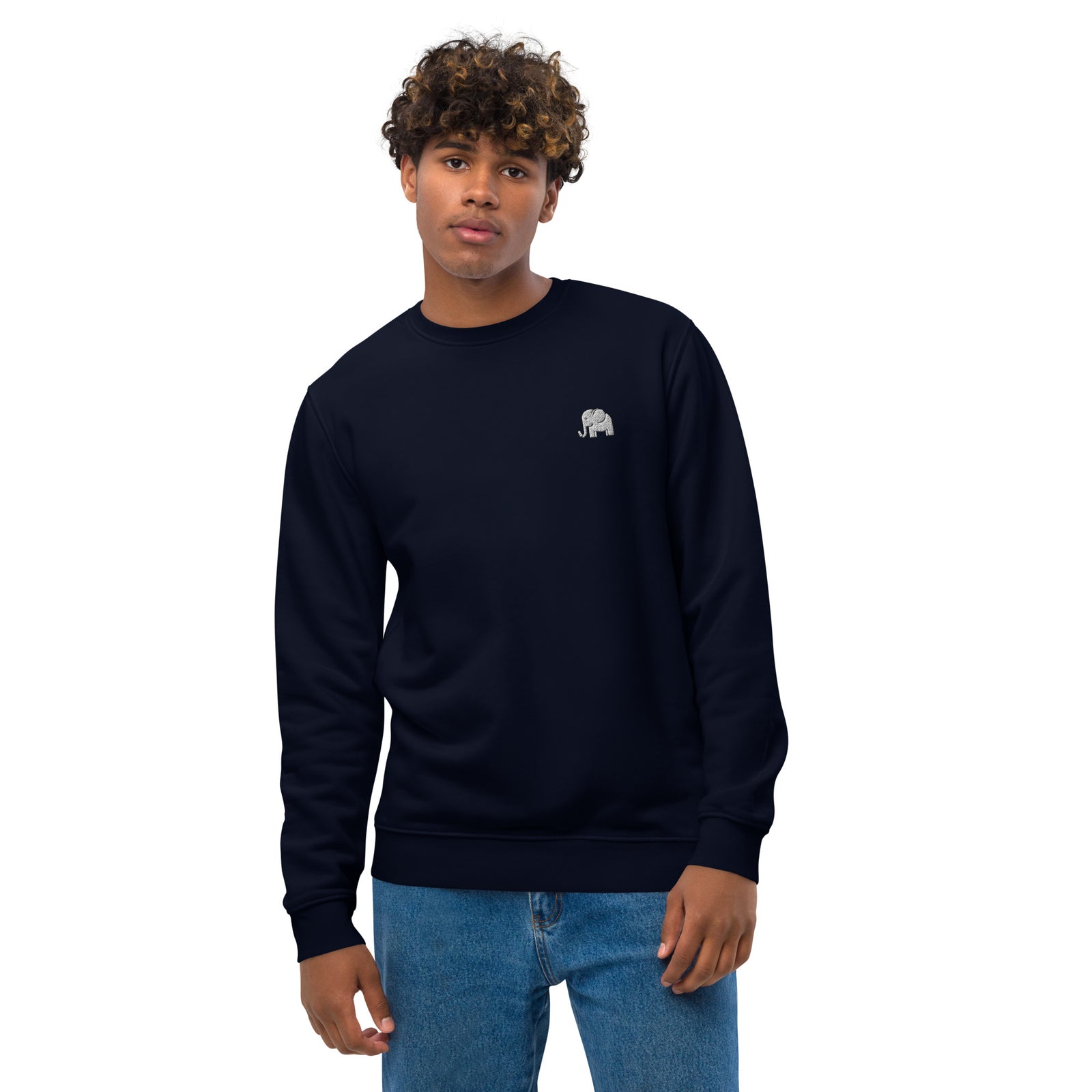 Pull homme brodé - "L'éléphant blanc"