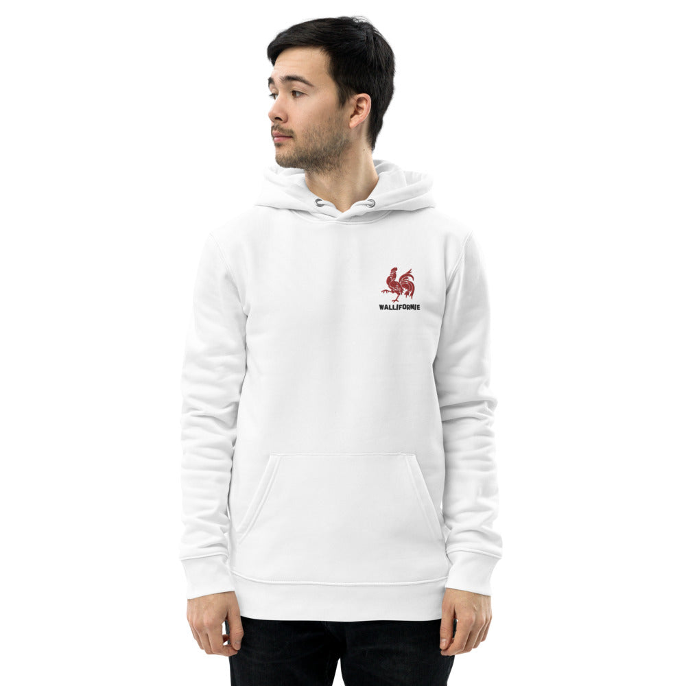 pull belge wallon