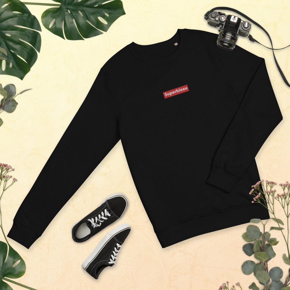 Pull Belge brodé - "SUPERBIEAU"