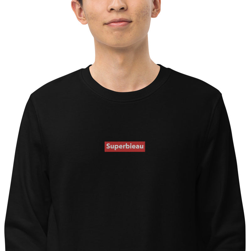 Pull Belge brodé - "SUPERBIEAU"