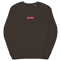 Pull Belge brodé - "SUPERBIEAU"