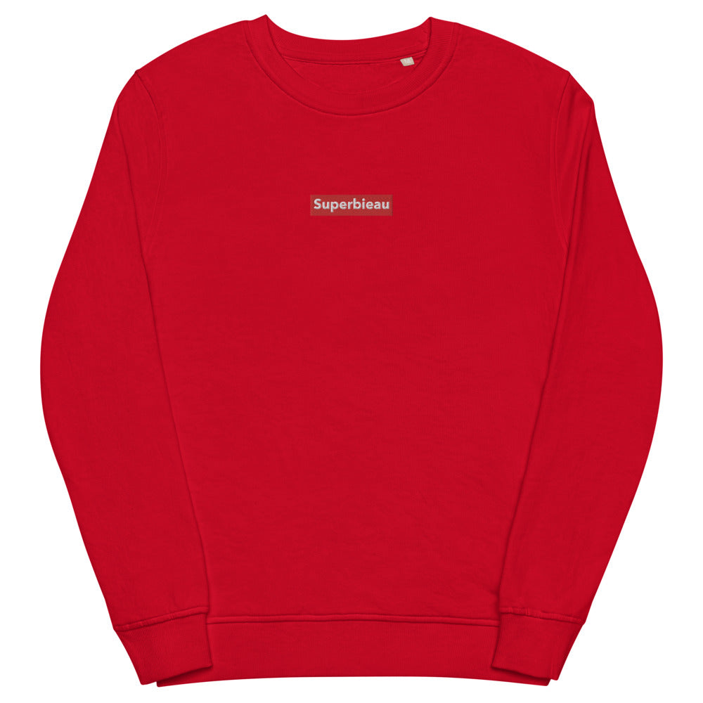 Pull Belge brodé - "SUPERBIEAU"