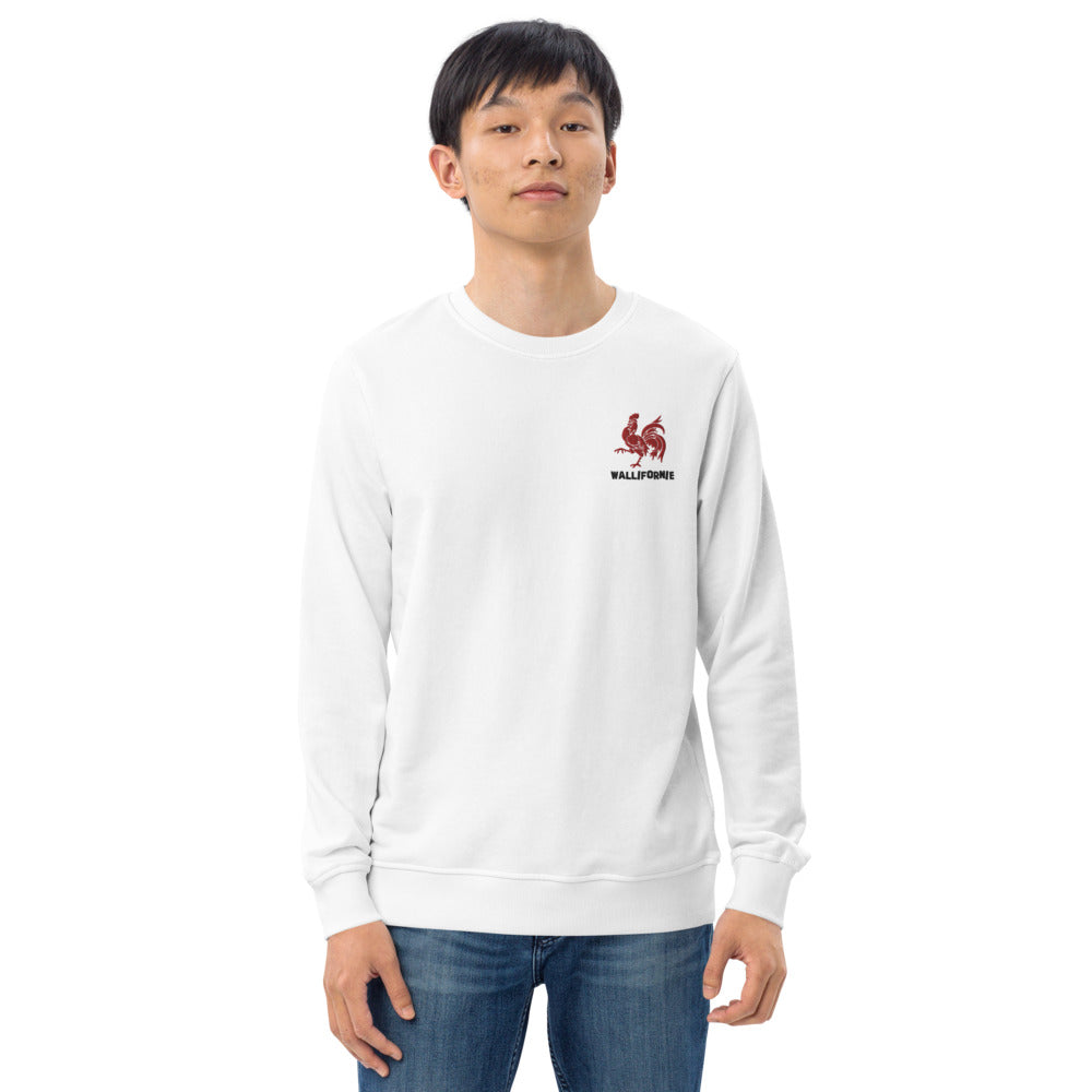 Pull Belge brodé - "WALLIFORNIE"