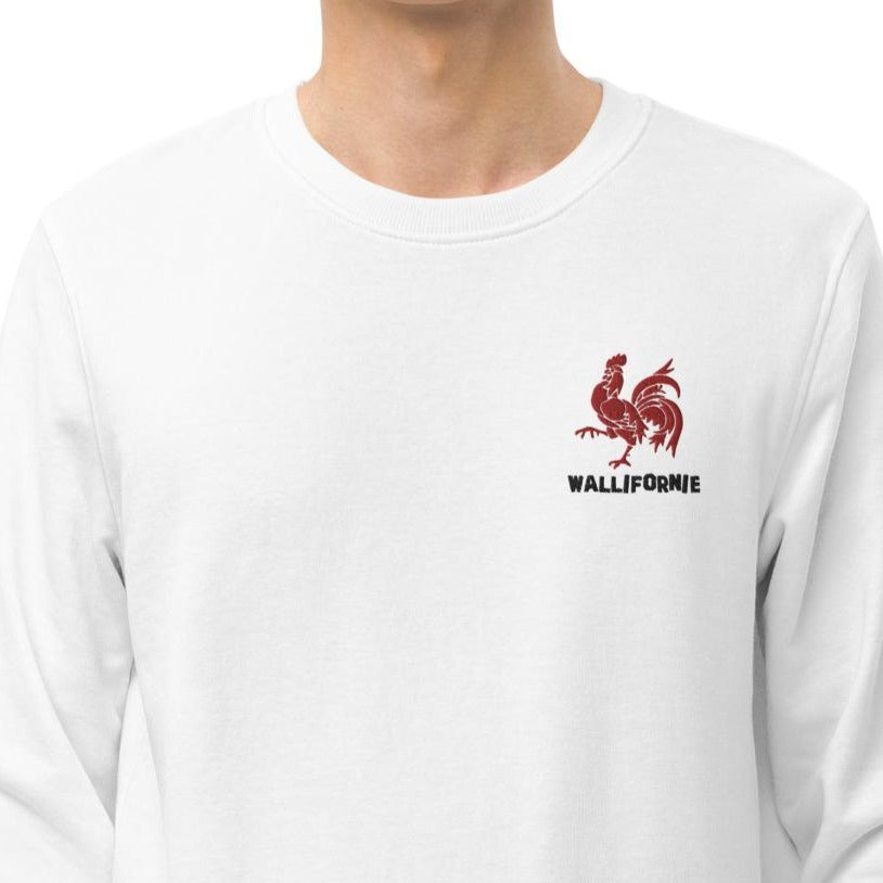 pull belge wallifornie